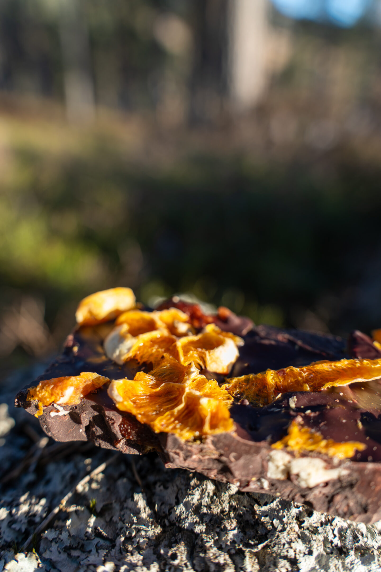 SItrus appelsin-sjokolade fra Myrvann naken